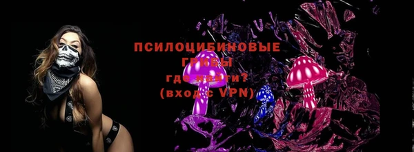 кокс Ельня